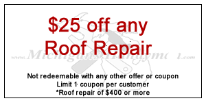 $25 off Roof Repair of $4500 or more.